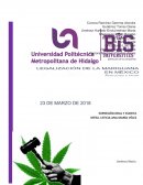 Legalización de la Marihuana en México Postulado a Favor
