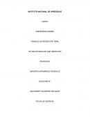 Ensayo emprendedurismo