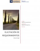 Requerimientos de negocio