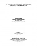 EVALUACIÓN DE LA AFECTACIÓN CLIMÁTICA SOBRE LOS PROCESOS AGRÍCOLAS EN EL DEPARTAMENTO DEL CESAR