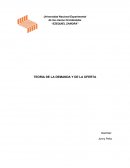 TEORIA DE LA DEMANDA Y DE LA OFERTA