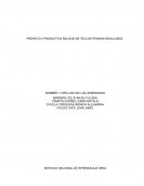 PROYECTO PRODUCTIVO BOLSOS DE TELA DE PENDON RECICLABLE.