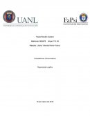 Competencia Comunicativa Organizador grafico