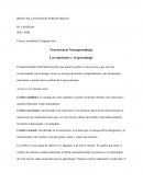 Neurociencia BRITO VILLAVICENCIO JOSELIN BELEN