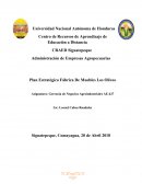 PLAN ESTRATÉGICO FÁBRICA DE MUEBLES LOS OLIVOS