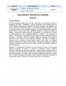 Caso práctico. Electrónica y sistemas E.S.S.A