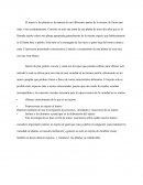 Proporcionar un injerto al huerto