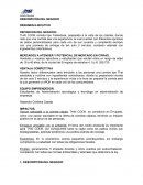 DESCRIPCIÓN DE NEGOCIO RESUMEN EJECUTIVO