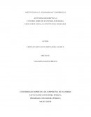 PROGRAMA CONTADURIA PÚBLICA