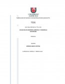 Desarrollo de plan de negocios