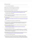 Preguntas de los sistemas humanos