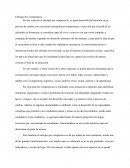 Filosofia Enfoque Por Competencia