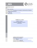 Exportacion, importacion y comercio compensatorio