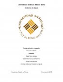 Trabajo aplicativo integrador