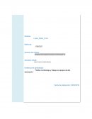 Estilos de liderazgo y trabajo en equipos de alto desempeño