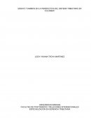 ENSAYO “CAMBIOS EN LA PERSPECTIVA DEL SISTEMA TRIBUTARIO EN COLOMBIA”