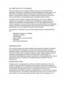 LOS OBSTÁCULOS A LA EFICIENCIA