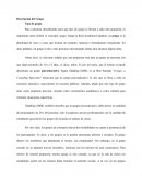 Descripción del Grupo Tipo de grupo