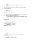 Politica De Dia De Cumpleaños Libre