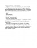 GRUPOS CULTURALES Y ETNIAS CHILENAS