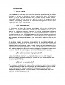 JUSTIFICACION ETNOGRAFIA.