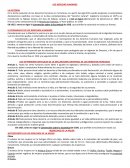 ECONOMIA LOS DERECHO HUMANOS