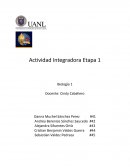 Afecta el ejercicio a la frecuencia cardiaca? ¿Afecta al medio ambiente?
