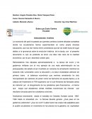 Sobre que Zuela Camina Ecuador