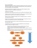 Que es la vulnerabilidad?