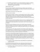Fisiologia cuestionario