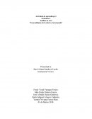 Evidencia 3 Análisis de caso “Generalidades de la oferta y la demanda”