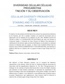 Celulas procariotas CELLULAR DIVERSITY PROKARYOTE CELLS