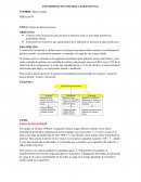 Ensayo de dureza de acero