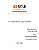 Casuística de accidentes del trabajo y enfermedades profesionales en la de Agricultura