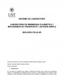 LABORATORIO DE MEMBRANA PLASMÁTICA Y MECANISMOS DE TRANSPORTE I: DIFUSIÓN SIMPLE