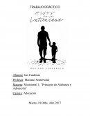 Hijos de la intimidad, resumen y conclusiones