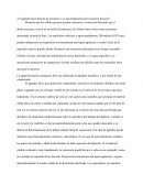 ¿El agitador hace función de extractor o es una preparación previa para el proceso?