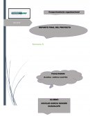 La empresa SEV MEXICO