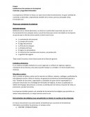 RE: Bienvenida Controles y Seguridad Informática