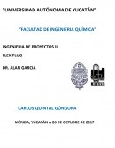 El plan de negocio de nuestro producto “flex-plug”