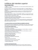 Linfaticos de miembro superior