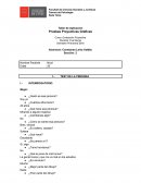 Pruebas Proyectivas Gráficas