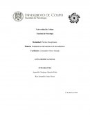 Guía observacional de conductas disruptivas