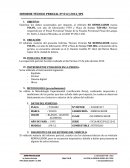 INFORME PERICIAL DAÑO VEHICULAR