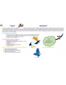 Amigos emplumados Resultado de imagen para las aves animadas