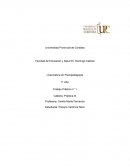 Licenciatura en Psicopedagogía Cátedra: Práctica III