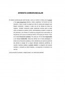 APARATO CARDIOVASCULAR. CORAZON