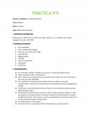 MOTIVO DE LA PRÁCTICA