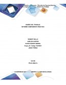 INFORME COMPONENTE PRÁCTICO