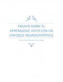 La neurociencia en la educación